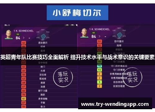 英超青年队比赛技巧全面解析 提升技术水平与战术意识的关键要素 英超青年队比赛技巧全面解析 提升技术水平与战术意识的关键要素