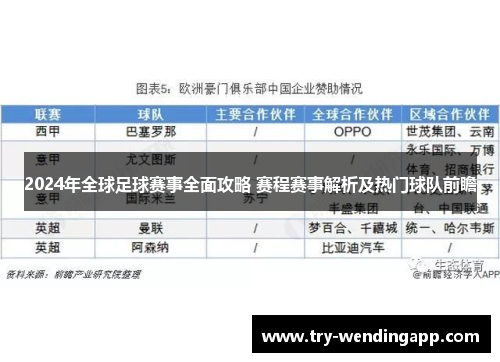 2024年全球足球赛事全面攻略 赛程赛事解析及热门球队前瞻 2024年全球足球赛事全面攻略 赛程赛事解析及热门球队前瞻