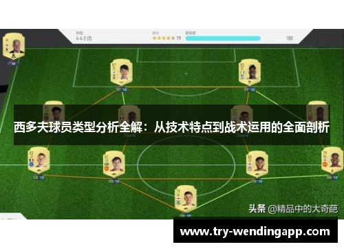 西多夫球员类型分析全解:从技术特点到战术运用的全面剖析 西多夫球员类型分析全解:从技术特点到战术运用的全面剖析