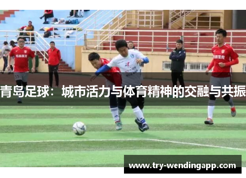 青岛足球:城市活力与体育精神的交融与共振 青岛足球:城市活力与体育精神的交融与共振