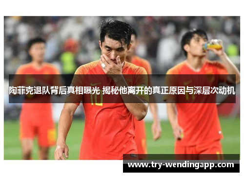 陶菲克退队背后真相曝光 揭秘他离开的真正原因与深层次动机 陶菲克退队背后真相曝光 揭秘他离开的真正原因与深层次动机