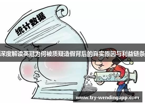 深度解读英冠为何被质疑造假背后的真实原因与利益链条 深度解读英冠为何被质疑造假背后的真实原因与利益链条