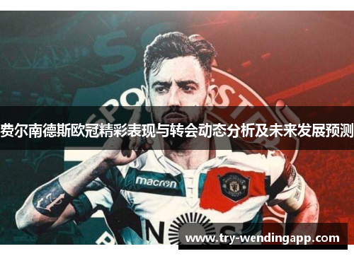 费尔南德斯欧冠精彩表现与转会动态分析及未来发展预测