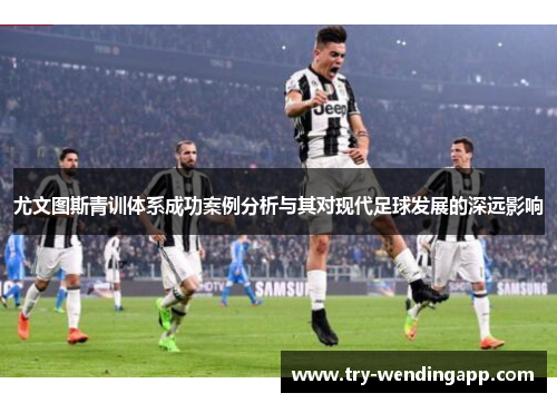 尤文图斯青训体系成功案例分析与其对现代足球发展的深远影响