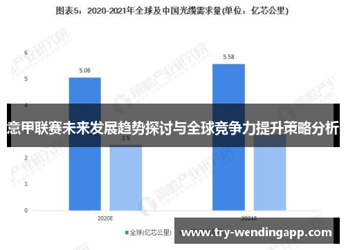 意甲联赛未来发展趋势探讨与全球竞争力提升策略分析