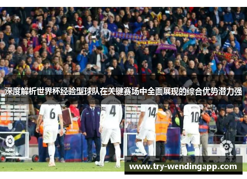 深度解析世界杯经验型球队在关键赛场中全面展现的综合优势潜力强