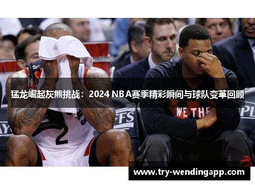 猛龙崛起灰熊挑战：2024 NBA赛季精彩瞬间与球队变革回顾